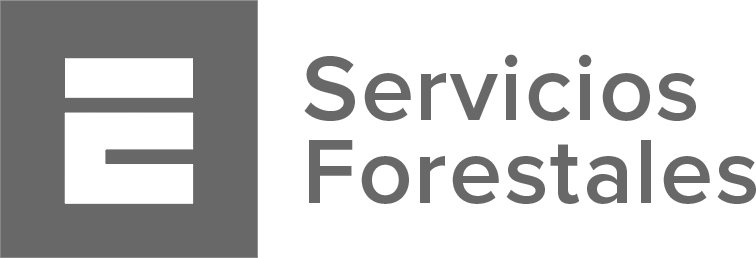 Logo gris ecofor forestal