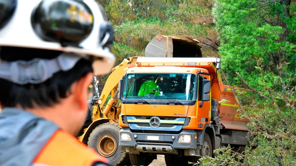 Camión de carga utilizado en el transporte de madera en actividades forestales